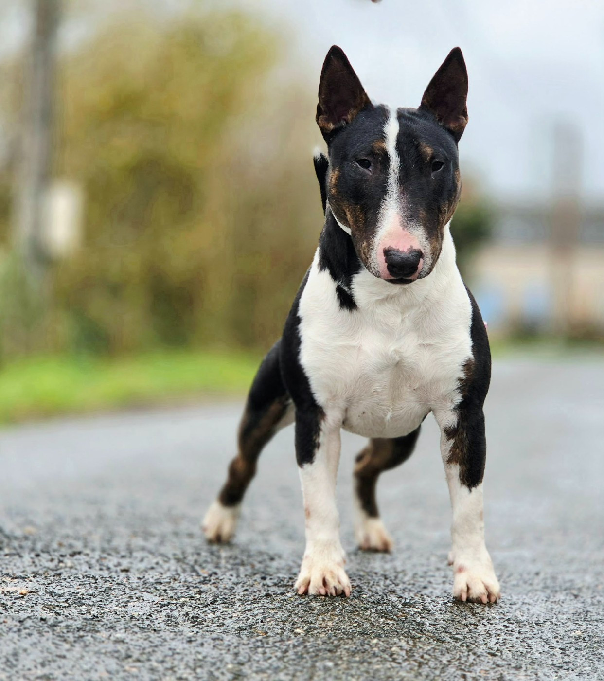 V'atlas de l'éternel de gaya De L'Eternel De Gaya 